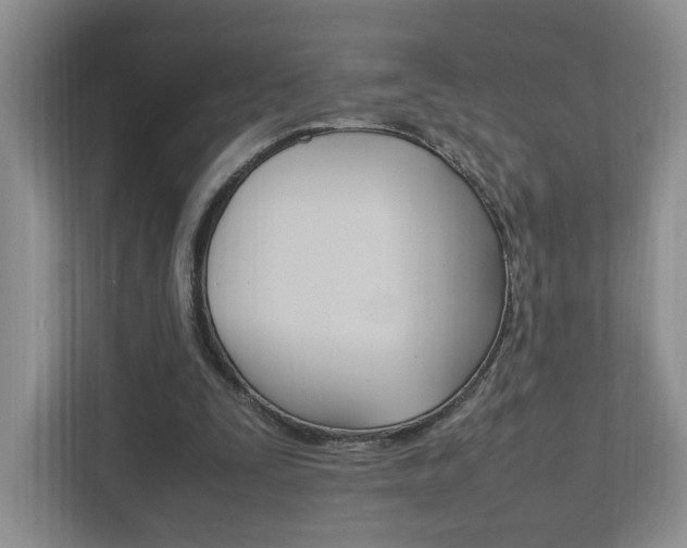 X0000111950295200907271040