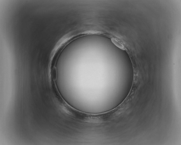 X0000111950296200907271040