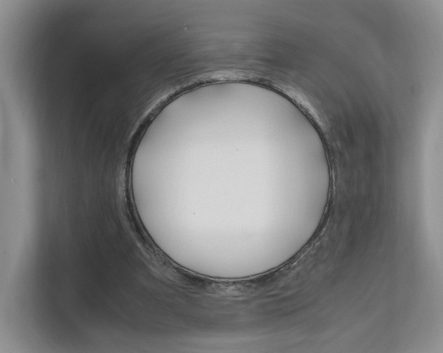 X0000111950297200907271040