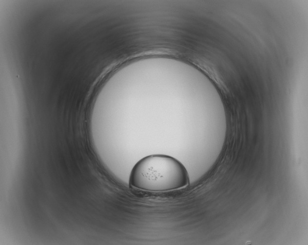 X0000111950300200907271040