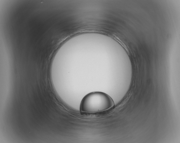 X0000111950301200907271040