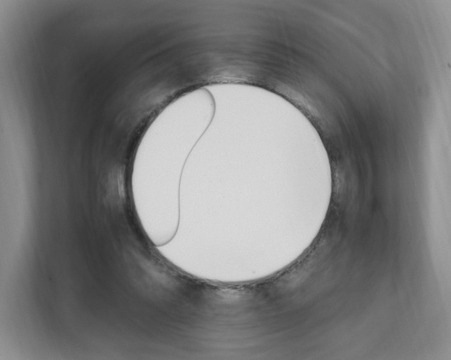 X0000111950302200907271040