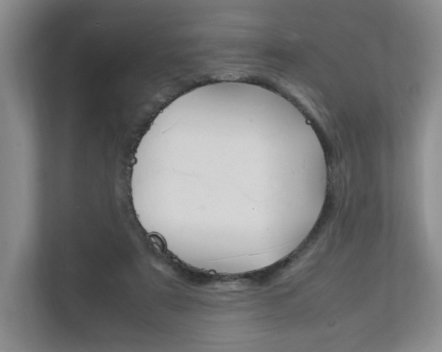 X0000111950307200907271040
