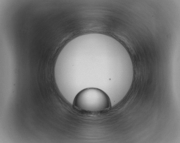 X0000111950308200907271040