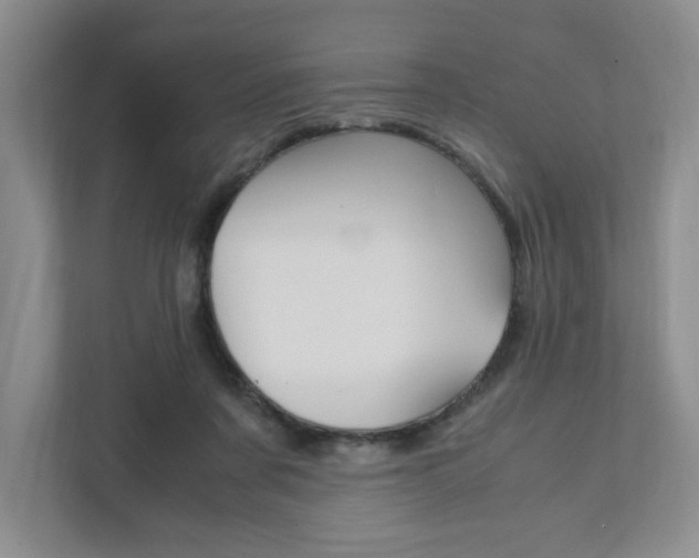 X0000111950311200907271040