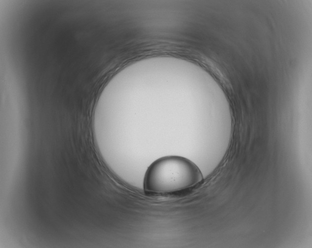 X0000111950313200907271040