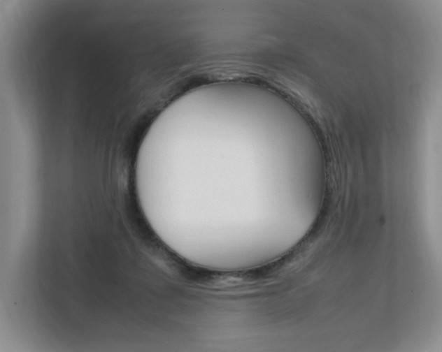 X0000111950315200907271040