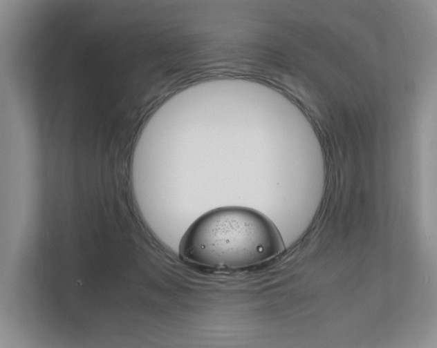 X0000111950317200907271040