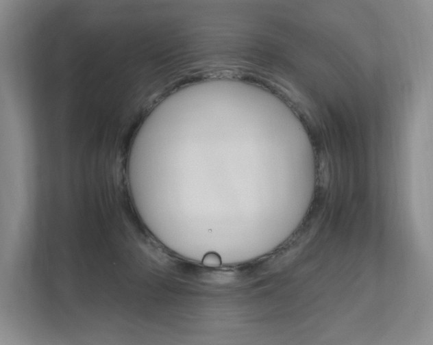 X0000111950318200907271040