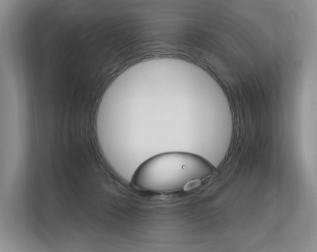 X0000111950320200907271040
