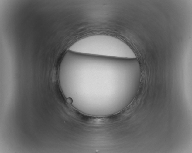 X0000111950323200907271040