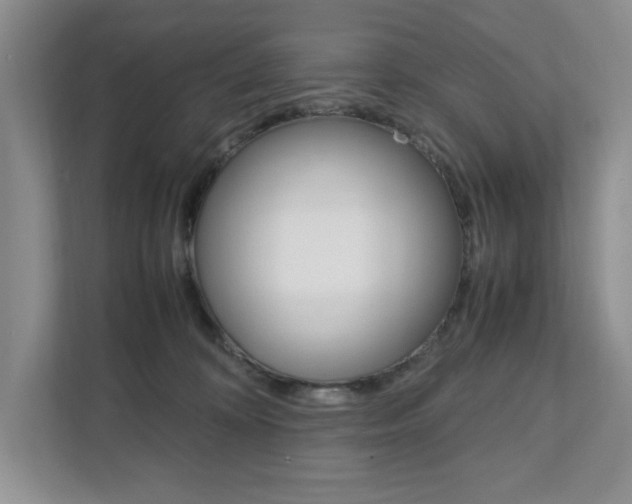 X0000111950324200907271040