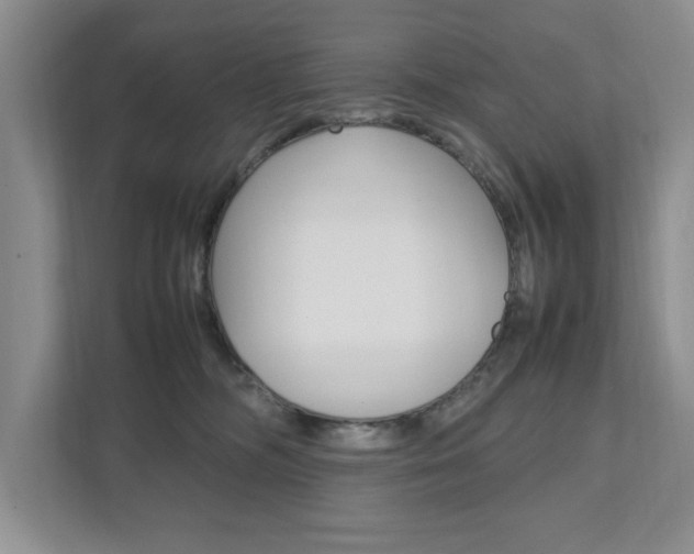X0000111950326200907271040