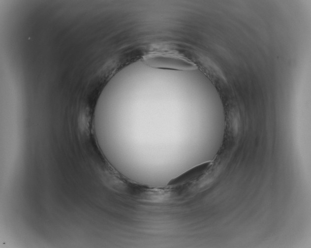 X0000111950328200907271040
