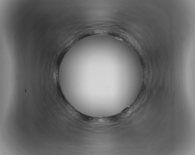 X0000111950329200907271040