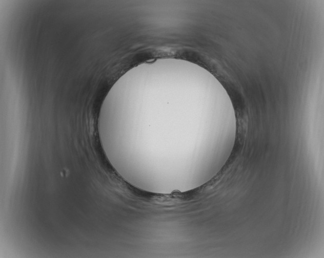 X0000111950331200907271040