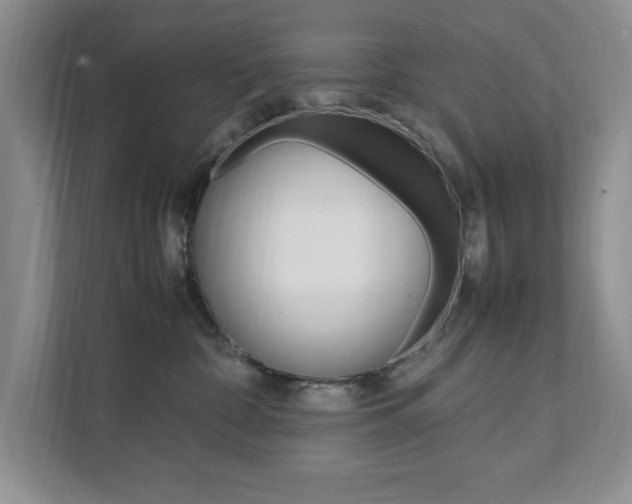 X0000111950332200907271040
