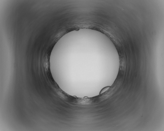 X0000111950334200907271040
