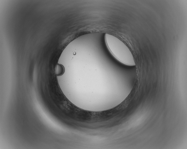 X0000111950335200907271040
