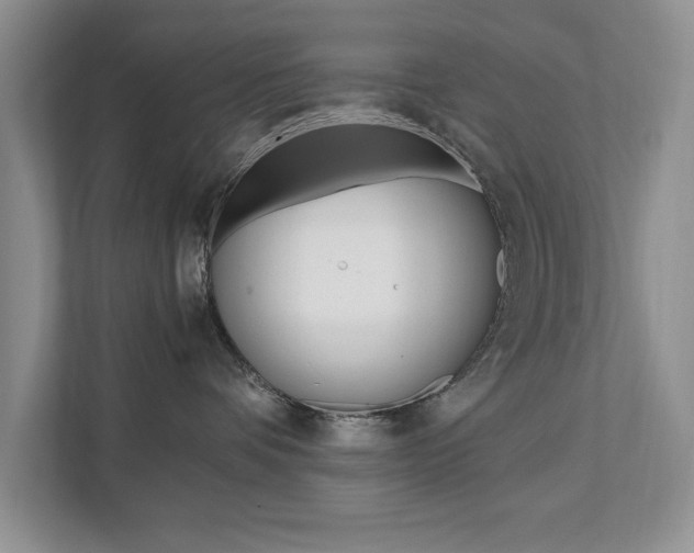 X0000111950336200907271040