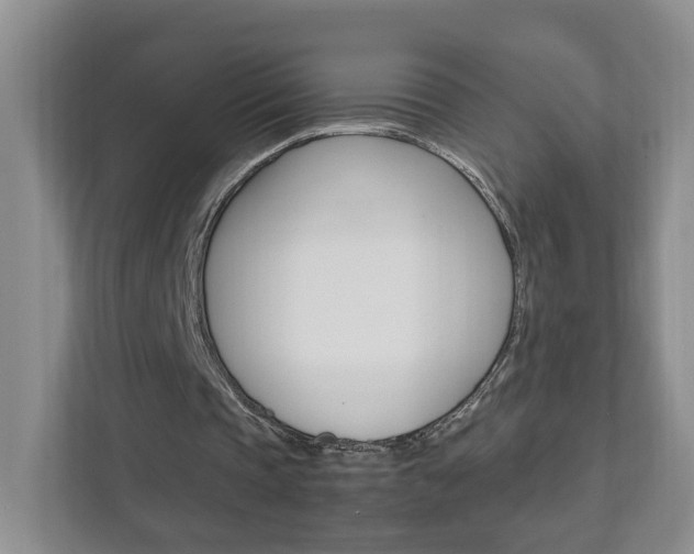 X0000111950337200907271039