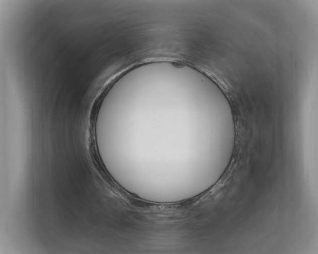 X0000111950338200907271039