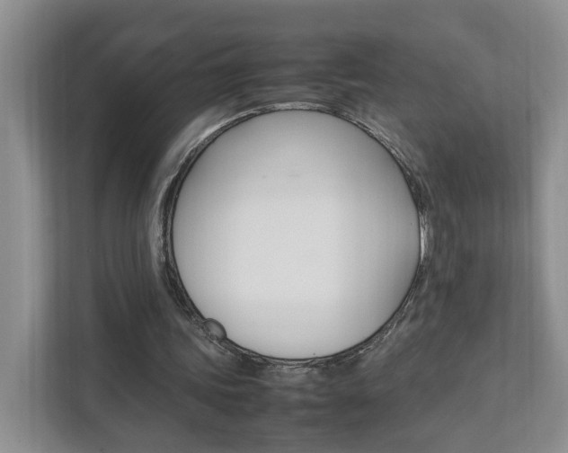 X0000111950339200907271039
