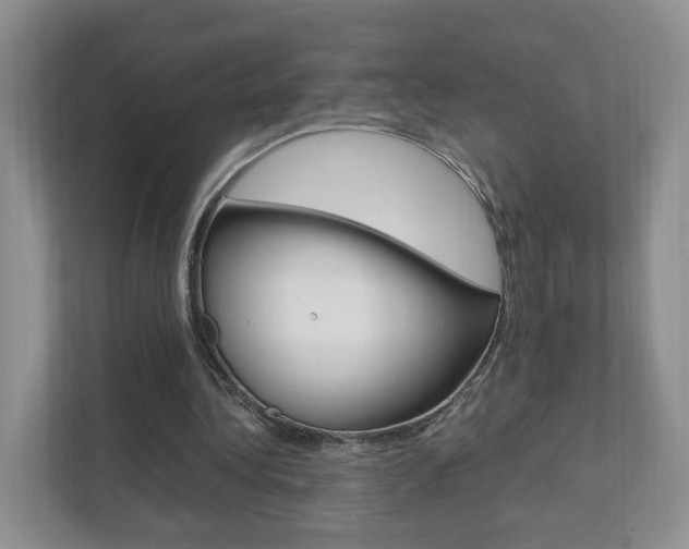 X0000111950340200907271039