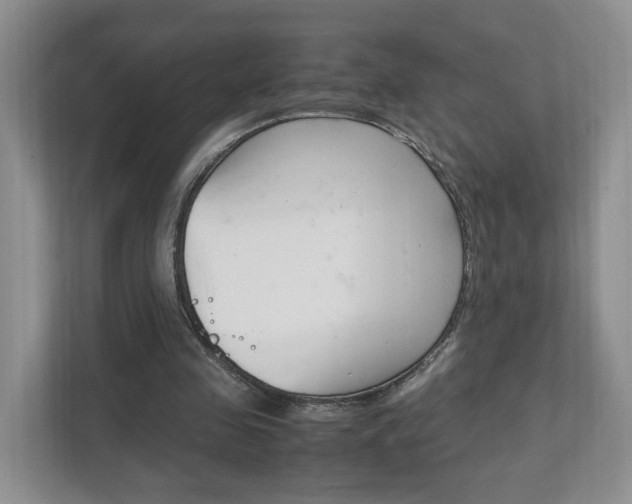 X0000111950341200907271039