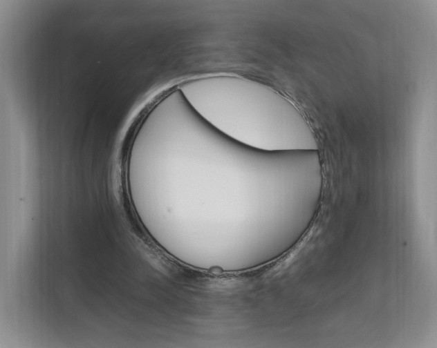 X0000111950342200907271039