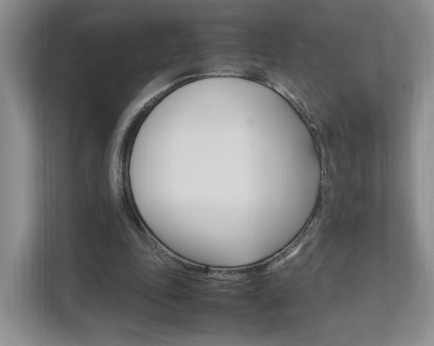X0000111950343200907271039