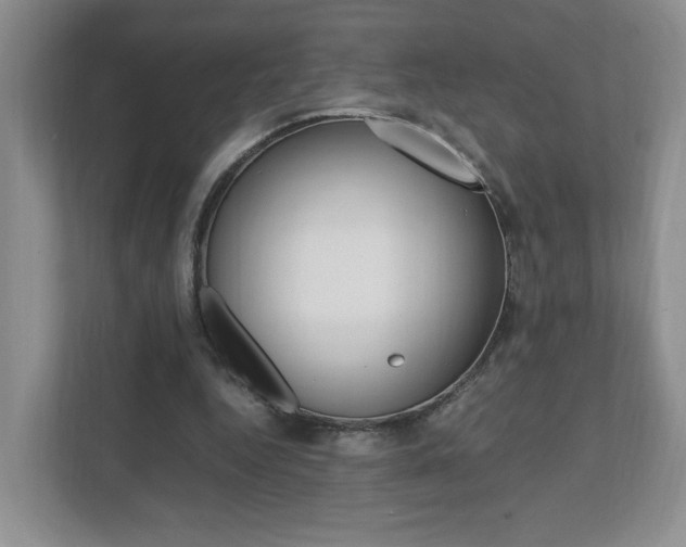 X0000111950344200907271039