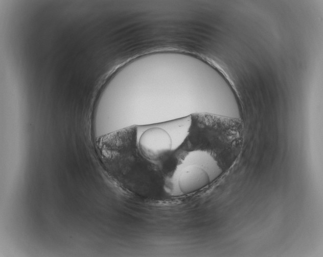 X0000111950345200907271039