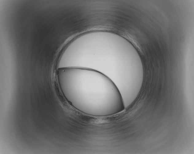 X0000111950348200907271039