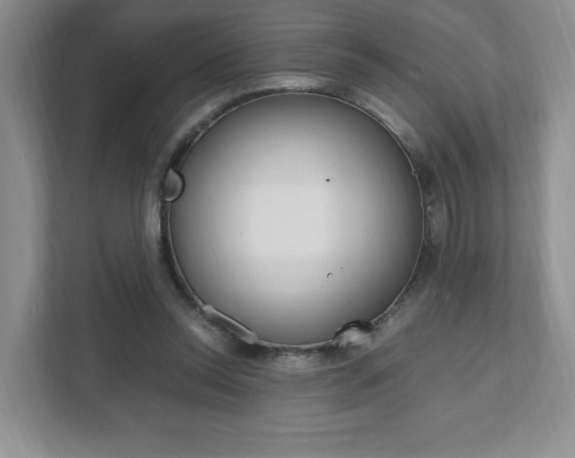 X0000111950350200907271039
