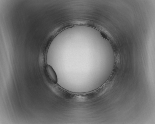 X0000111950352200907271039