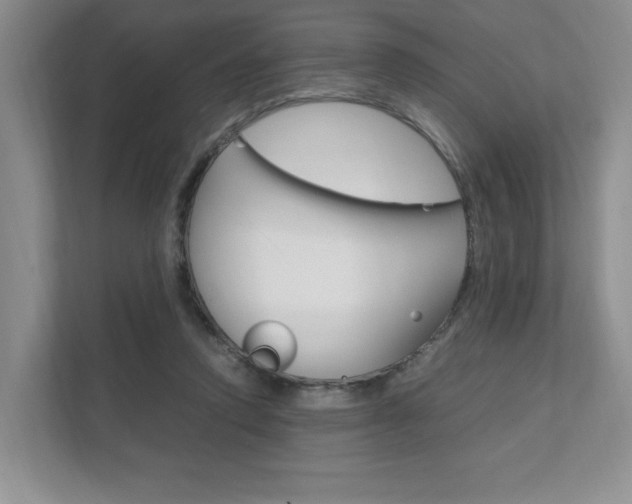 X0000111950354200907271039