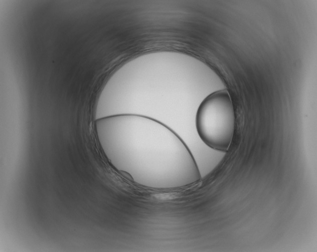 X0000111950356200907271039