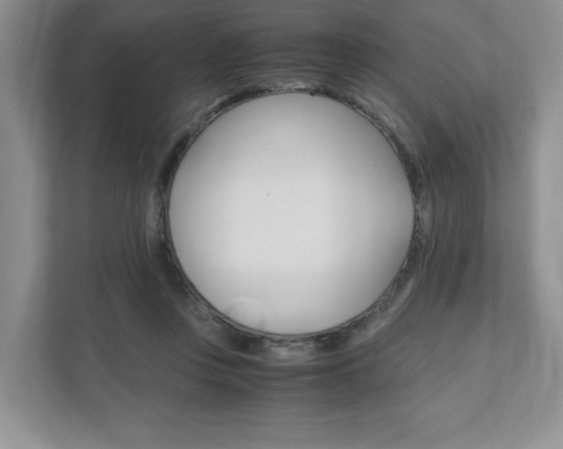X0000111950359200907271039