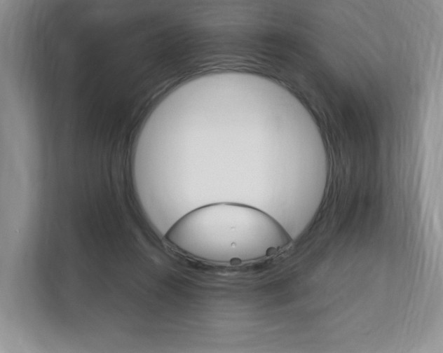 X0000111950360200907271039