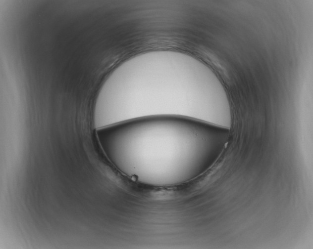X0000111950362200907271039