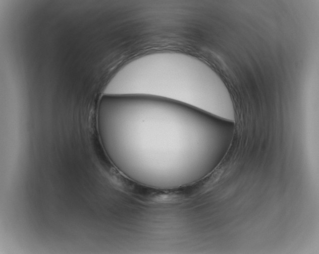 X0000111950364200907271039