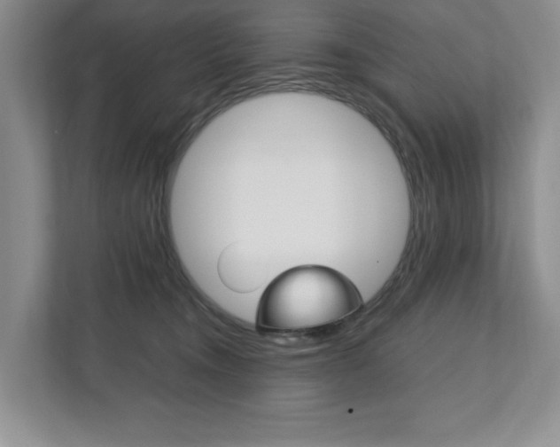 X0000111950372200907271040