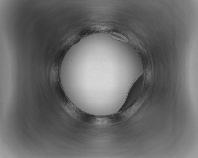 X0000111950376200907271040