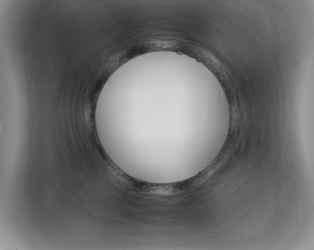 X0000111950377200907271040