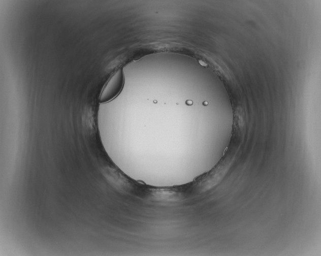 X0000111950380200907271040