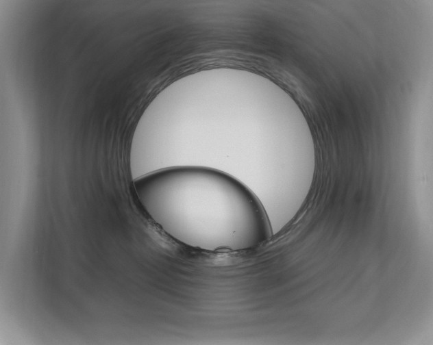 X0000111950382200907271040