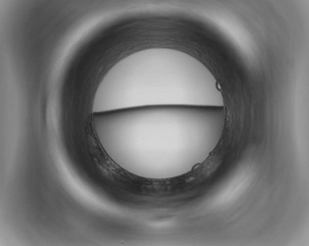 X0000111950383200907271040