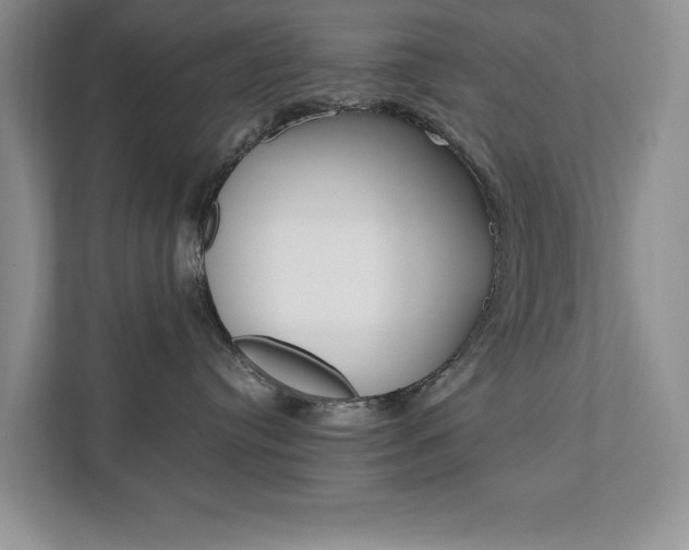 X0000111950384200907271040