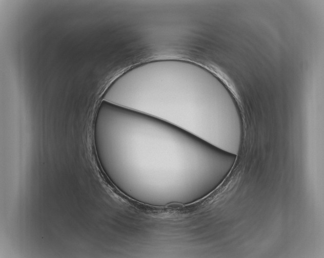 X0000111950385200907271039